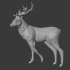 Stag 2.0 image