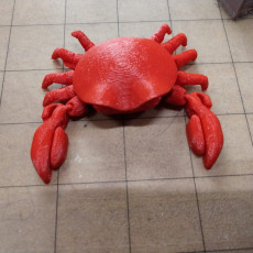 Picture of print of Articulated Crab