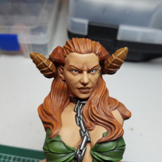 Picture of print of Succubus Busts [Pre-Supported]