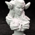 Succubus Busts [Pre-Supported] image