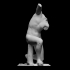 Kneeling Man, Niobid, or Wrestler image
