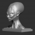 Alien Bust Figurine Reproduction Alien found in the 50s in South America image