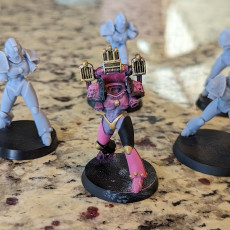 Picture of print of Noise Marine squad