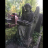 Angel holding a bowl from Highgate Cemetery image