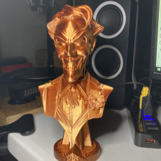 Picture of print of Joker This print has been uploaded by Hydralisk