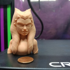 Picture of print of Ahsoka Tano Bust This print has been uploaded by Eric Guerrero