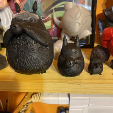 Picture of print of Totoro Family This print has been uploaded by Jordi roca arnaldos