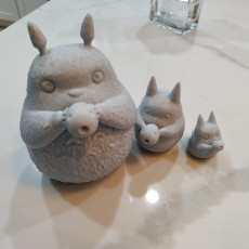 Picture of print of Totoro Family This print has been uploaded by J0hn P@rkhill