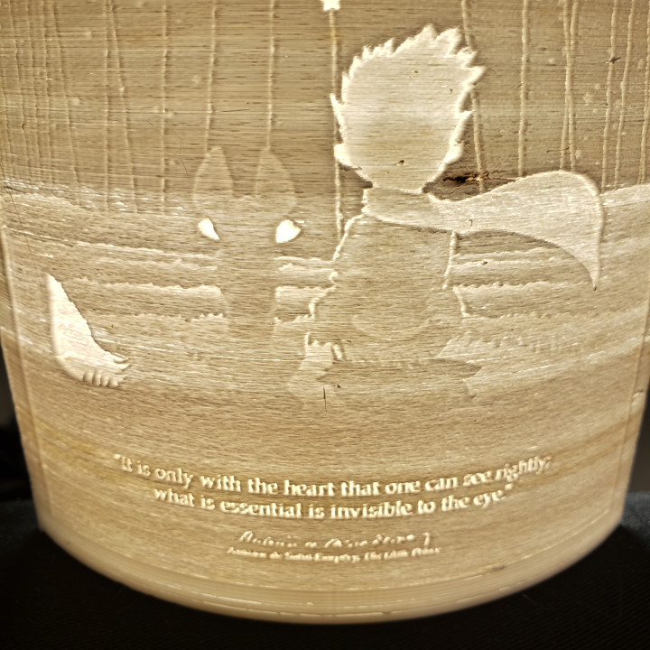 Little Prince Night Light Cover (1 of 2)