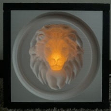 Picture of print of Lion - 3D optical illusion