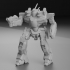 Incubus Prime, AKA Vixen for Battletech image