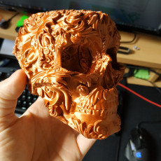 Picture of print of Skull Bowl This print has been uploaded by Ludovic Zablot