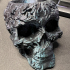 Decorative Skull Bowl print image