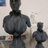 3D model Bust STL-OBJ - Catwoman from Batman (DC Comics) 3D Model Fanart version CG Pyro image