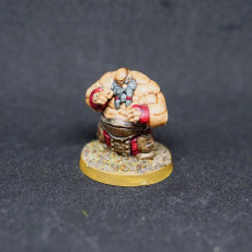 Picture of print of Dwarf Brawler Miniature - pre-supported