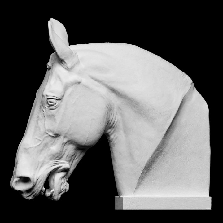 3D Horse head bust sculpture