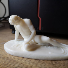 Picture of print of Dying Gaul