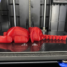 Picture of print of Flexiphant
