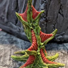 Picture of print of Tabletop plant: "Webbing Tree" (Alien Vegetation 17)