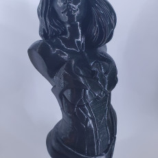 Picture of print of Wonder Woman bust This print has been uploaded by Bristol Taylor