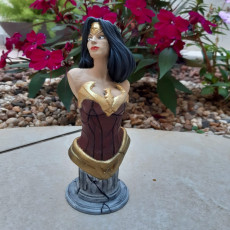 Picture of print of Wonder Woman bust This print has been uploaded by Enzo Rabelo