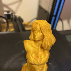 Picture of print of Wonder Woman bust This print has been uploaded by Brian Balicki
