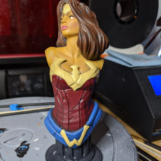 Picture of print of Wonder Woman bust This print has been uploaded by Chad Haines