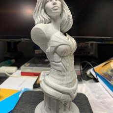 Picture of print of Wonder Woman bust This print has been uploaded by Almir Alves