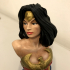 Wonder Woman bust print image