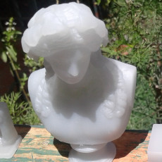 Picture of print of Bust of Dionysus