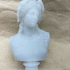 Bust of Dionysus print image