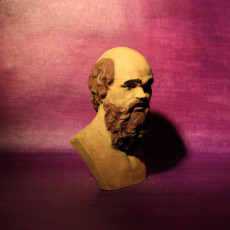 Picture of print of Bust of Socrates