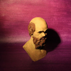 Picture of print of Bust of Socrates