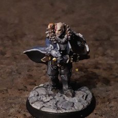 Picture of print of Human male fighter with attack hamster! 32mm scale miniature