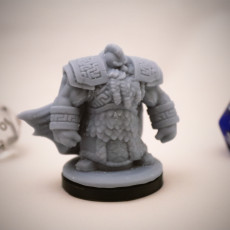 Picture of print of Dwarven Infantry 02 Miniature - pre-supported This print has been uploaded by Epics N Stuffs