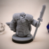 Dwarven Infantry 05 Miniature - pre-supported print image