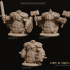 3 x Dwarven Infantry Miniatures Pack 02 image