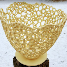 Picture of print of Voronoi Lampshade