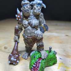Picture of print of Ettin Giant. This print has been uploaded by Stephan Bernard