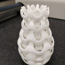 Picture of print of 2in1 Vase