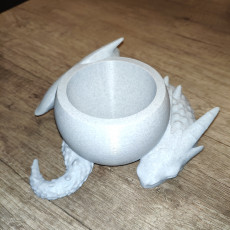 Picture of print of Dragon bowl