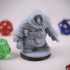 Dwarven Rogue 02 Miniature - pre-supported image