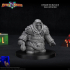 Dwarven Rogue 02 Miniature - pre-supported image