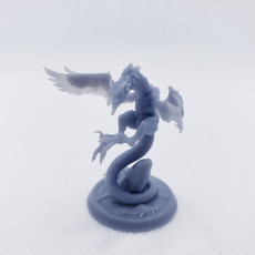 Picture of print of Dragon chicken