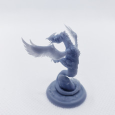 Picture of print of Dragon chicken