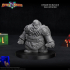 Dwarven Rogue 04 Miniature - pre-supported image