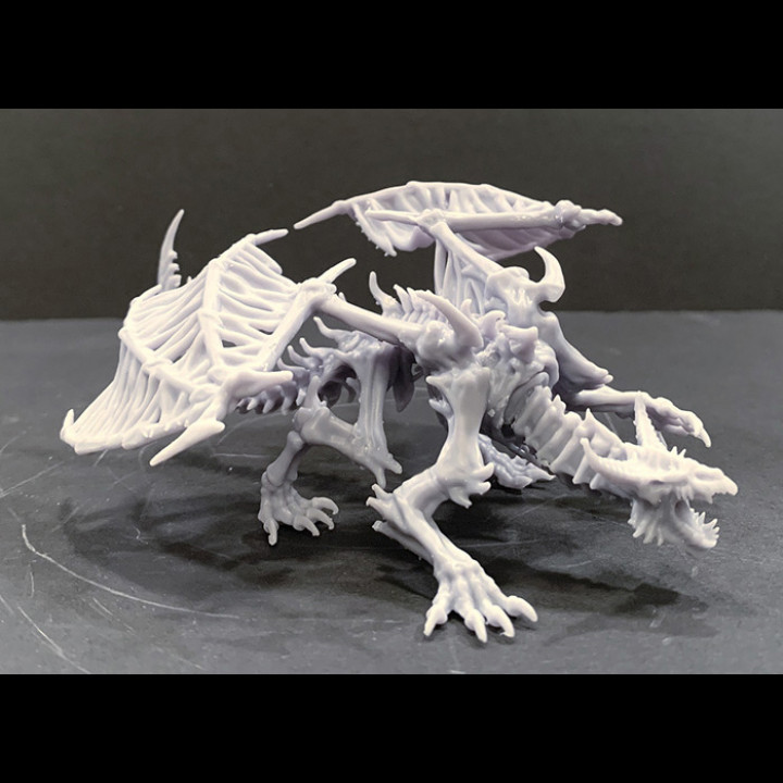 Image of Skeletal Dragon Pose #1