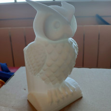 Picture of print of OWL PEN HOLDER
