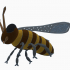 Honey Bee (Low poly) image