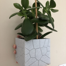 Picture of print of brick plant pot